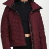 Canada Goose Updated Ladies Hybridge Base Bordeaux